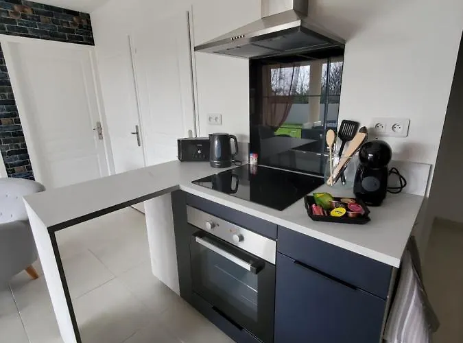 Hortensia, Famille Et Amis Fontenay-le-Comte